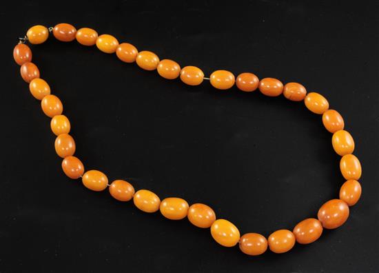 A single strand graduated oval amber bead necklace, 56cm.